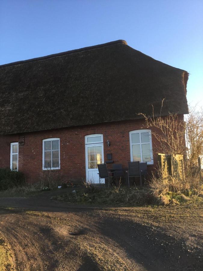 Ferienwohnung-Haus-Luetje-Wehr Hattstedtermarsch Extérieur photo